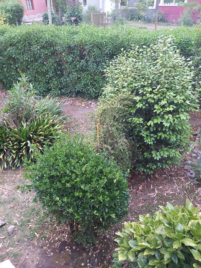 Bosque Peralta Ramos Mar del Plata